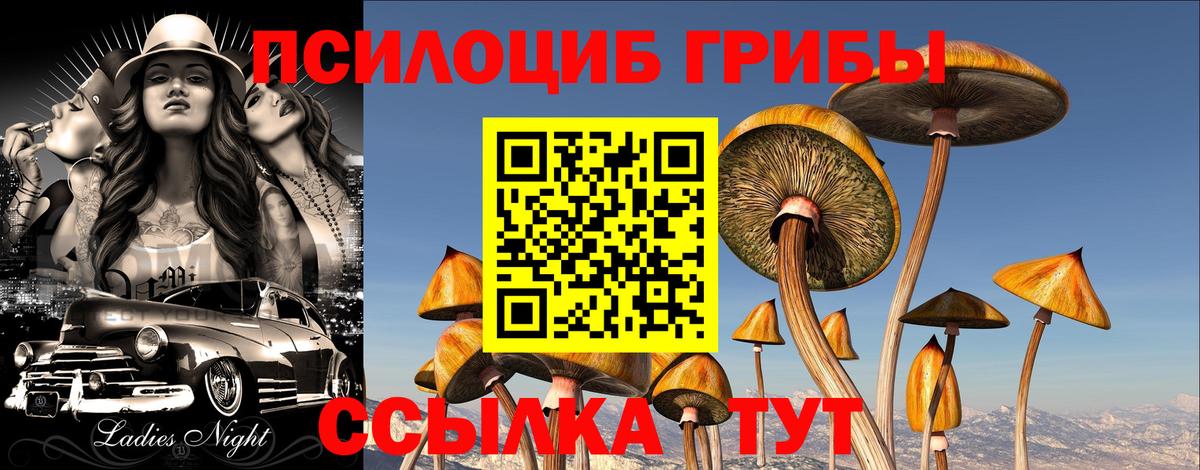 Галлюциногенные грибы ЛСД  Галлюциногенные грибы ЛСД  Вход с VPN  Сердобск 